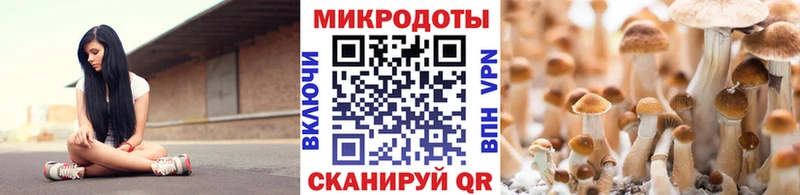 Галлюциногенные грибы Cubensis  купить наркотики сайты  дарк нет Telegram  Муравленко 